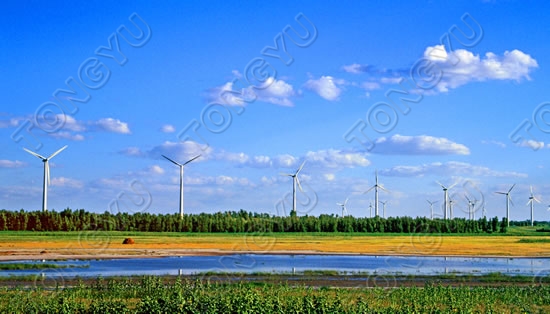 2011061816493893646.jpg